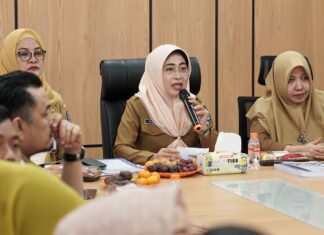 Pemprov Kepri Segera Operasikan UPTD Labkesmas di Dompak