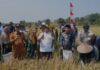 Wagub Kepri Panen Raya Padi di Natuna