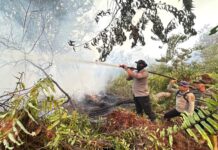 Hari Ini Sumatera Muncul 2.056 Hotspot, Sumsel 1.378 Titik, Riau 21