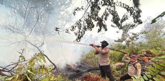 Hari Ini Sumatera Muncul 2.056 Hotspot, Sumsel 1.378 Titik, Riau 21