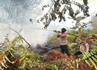 Hari Ini Sumatera Muncul 2.056 Hotspot, Sumsel 1.378 Titik, Riau 21
