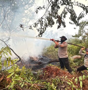 Hari Ini Sumatera Muncul 2.056 Hotspot, Sumsel 1.378 Titik, Riau 21