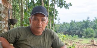 Jeritan Hati Jailani, Kebun Karet Miliknya Berubah Jadi Areal Kebun Sawit
