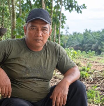 Jeritan Hati Jailani, Kebun Karet Miliknya Berubah Jadi Areal Kebun Sawit