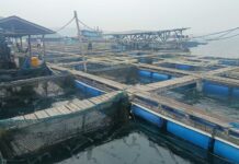 Penjaga Keramba di Air Sena Dibacok Saat Gagalkan Dugaan Pencurian Ikan