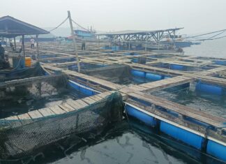Penjaga Keramba di Air Sena Dibacok Saat Gagalkan Dugaan Pencurian Ikan