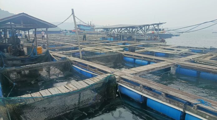Penjaga Keramba di Air Sena Dibacok Saat Gagalkan Dugaan Pencurian Ikan