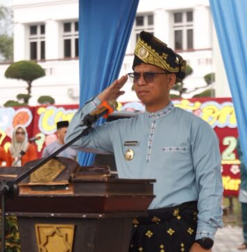 Pertumbuhan Ekonomi 6,14 Persen Jadi Kado Ultah Karimun ke-27