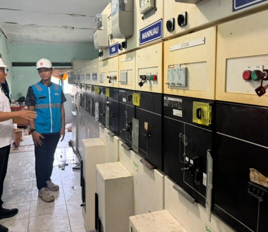 Bupati Anambas Tinjau Kedatangan Mesin PLTD