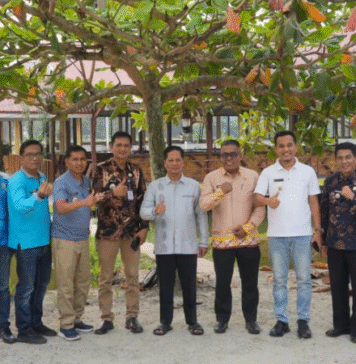 Camat di Kuansing Diminta Aktif Sampaikan Informasi Pembangunan ke Masyarakat